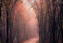 问鼎娱乐:西甲争冠积分榜:巴萨66分皇马63分,马竞57分已落后榜首9分.