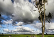 问鼎娱乐：18年来首次客场战胜巴塞 体马抢下西甲榜首位置.