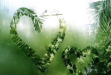 [高尔夫]高知特精英赛海史密斯从晋级登上冠军宝座 斯皮思T9.