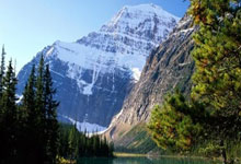 问鼎娱乐：40岁C罗，再获吉尼斯世界纪录九派新闻.